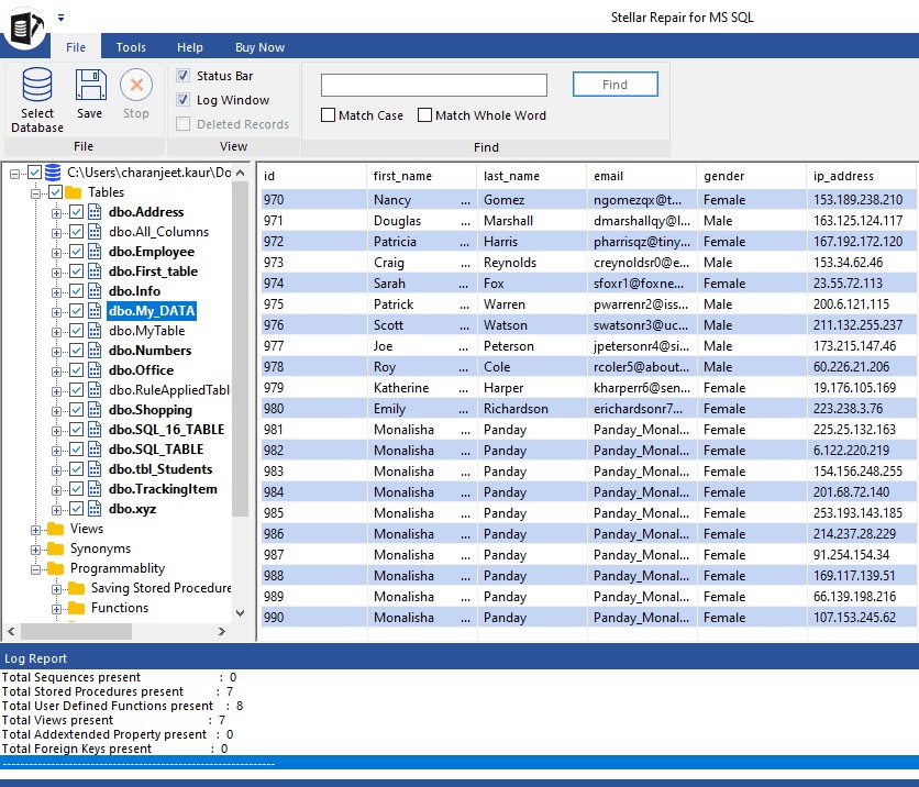 preview all the repaired data in file